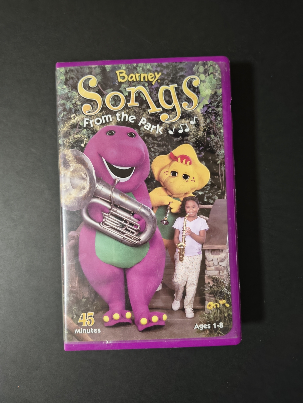 Vintage Barney “Songs From The Park” VHS